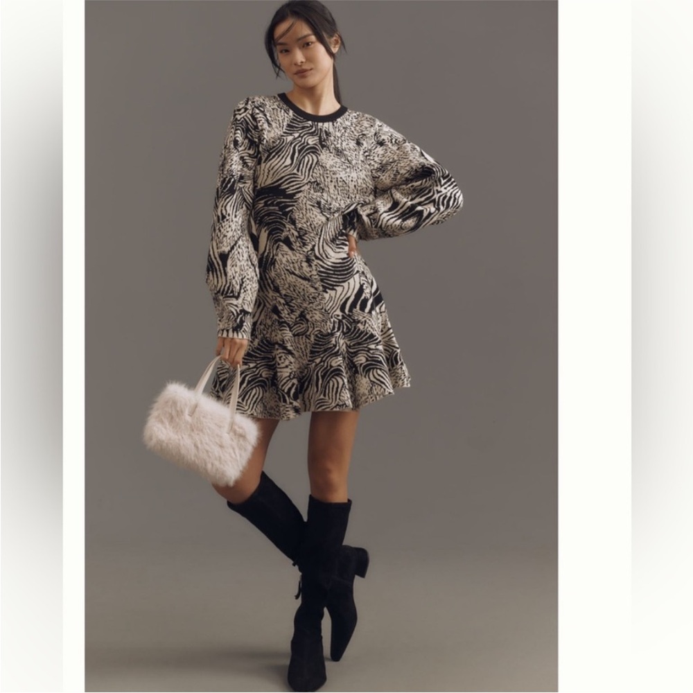 Anthropologie Zebra Print Long Sleeve Mini Dress